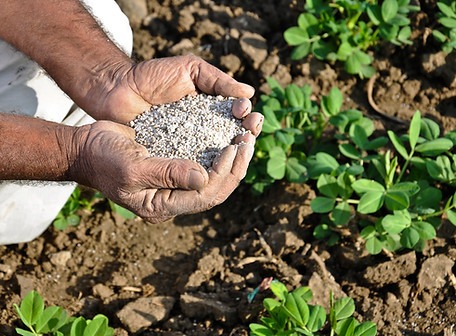 fertilizer